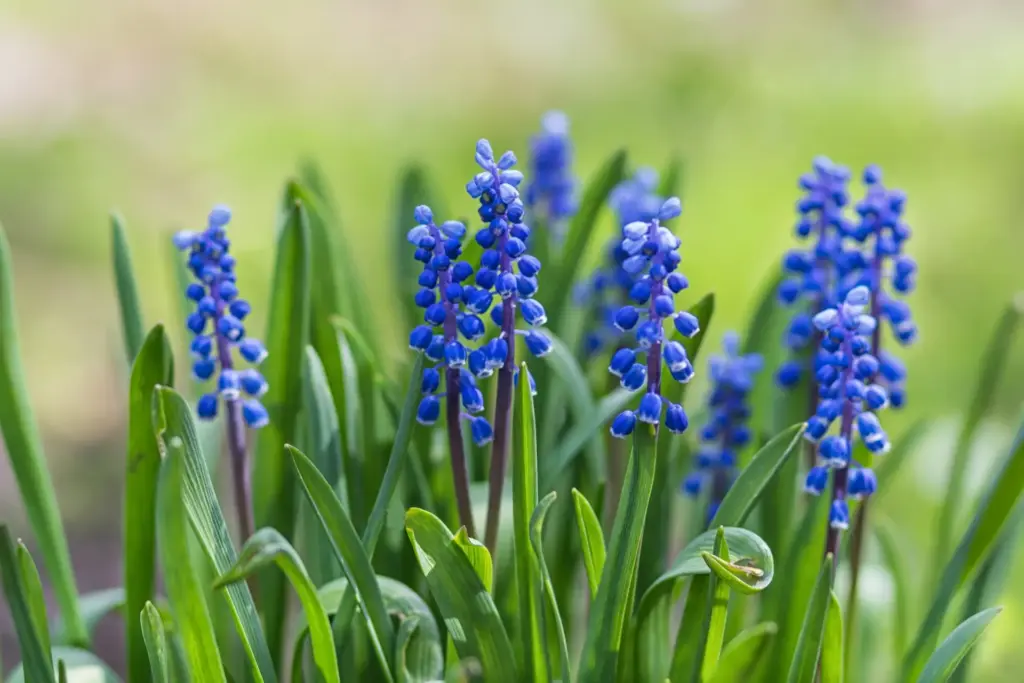 The beauty of DBT Treatment