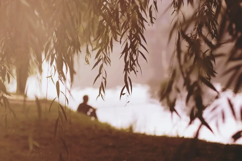 Lonely fisherman sitting in the riverbank