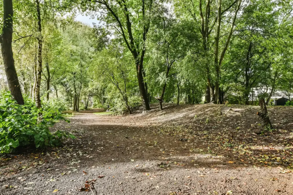Mind-blowing park with many trees