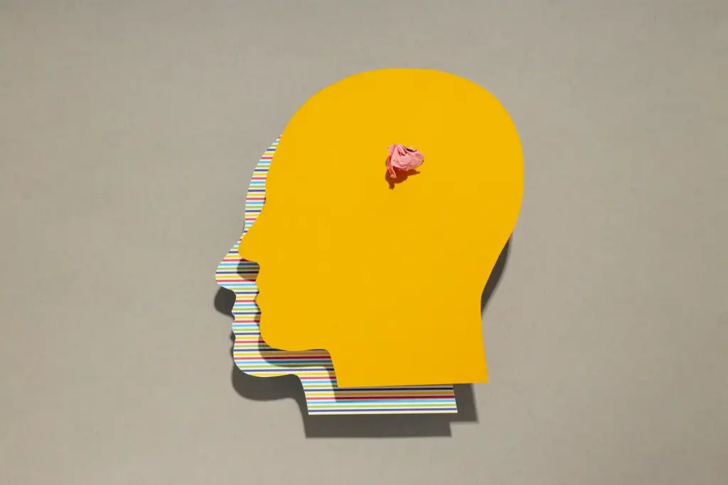 Mental disorders concept - composition for Bipolar disorder