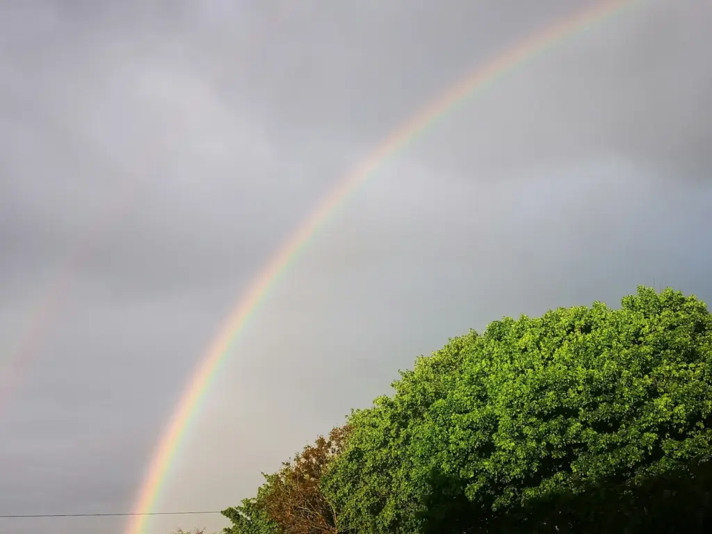 rainbow and grey sky