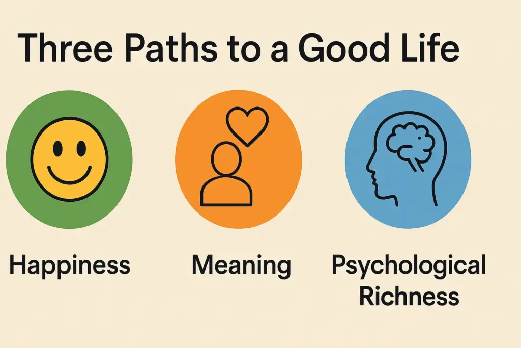 Three illustrated circles with icons and labels: a smiling face for Happiness, a person with a heart above for Meaning, and a brain in a head for Psychological Richness. Text reads Three Paths to a Good Life. STG-Health